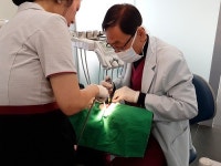 충치치료부터 임플란트까지, 치과치료 믿을 수 있는 곳에서 받아야