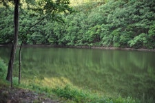 [독자기고] 지금은 숲으로 가는 길 - 14. 이런 내가 정신병원을 가도 될까? - 2