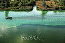 부소산성 숲길, 너울거리는 초록 불꽃에 매혹되다