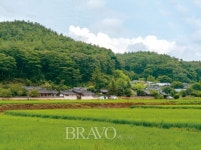 계곡 건너고 솔숲 지나 찾아가는 호젓한 ‘닭실마을’