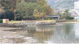 편하게 걷고 실비로 먹는 ‘Road & food (3)