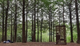 힐링 포레스트 트레킹 ‘개화산 둘레길’