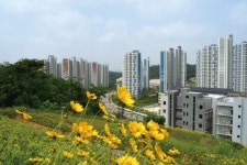 주변 호재 덕에 최대 수혜