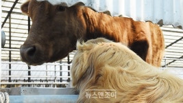 바른 먹거리 골고루 나누는 게 평화죠