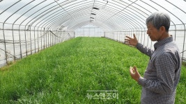 바른 먹거리 골고루 나누는 게 평화죠