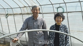 바른 먹거리 골고루 나누는 게 평화죠