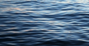 [주님 수세 주일] 세례, 연대의 시작