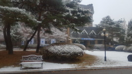 에듀셀파 독학재수기숙학원, 2019 수능 남녀 캠퍼스 분리 재수생 선행반 12월 16일 개강