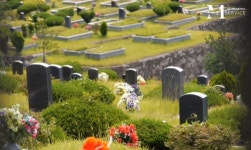 더메모리얼서비스, 수도권 추모공원 및 수목장 픽업/샌딩 서비스 실시