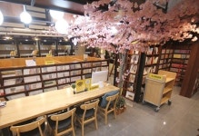 만화카페 창업브랜드 놀숲, 아산탕정점/남양주오남점오픈