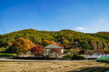 서울에서 가까운 경기도 워크샵펜션 초호쉼터