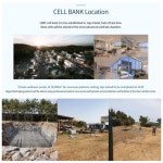 바이오·헬스케어 코인 LBXC, 제주도 바이오센터 공사 개시…로드맵 본격 시동