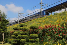 (단독기획) 힐링투어라인, 자기부상열차 타고 가는 차이나타운 & 염전 체험여행 출시