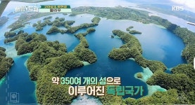 팔라우 어디? 직항으로 4시간 50분 소요, 350여 개 섬나라