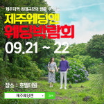 웨딩컨설팅 웨딩앤, 제주 웨딩박람회 개최