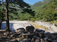 [포토] 동해시 한국언론사협회 초청 기자단 팸투어! 묵호등대·바람의언덕·천곡황금박쥐동굴·무릉계곡·무릉건강숲 외