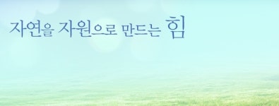 [수소차 관련주] 풍국주정·성창오토텍, 투자자들 주목받나…갑작스런 매수세