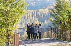 에버랜드 명품 숲 포레스트 캠프 힐링·행사 장소로 인기