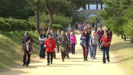 관동 풍류의 길 방학 추천 코스로 선정