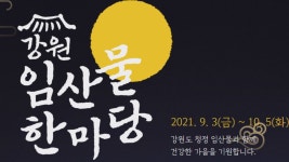 강원임산주식회사 | 강원도, 가을철 임산물 팔아주기 특판행사(3일)