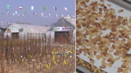 춘천과 철원에 산지종합유통센터 2곳 조성