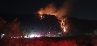 양양 산불 현장 후속 조치