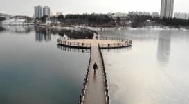 속초 영랑호수윗길 상류만 꽝꽝 얼어