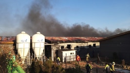 철원군 동송읍 돼지농장 불.. 돼지 420마리 폐사