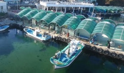 도내 어촌뉴딜 첫 준공 동해 어달항