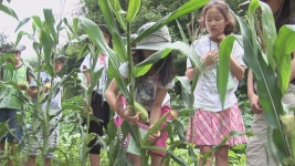 인제 하추리 산촌마을, 농촌 체험 활성화