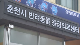 강원대학교 동물병원 응급실 365일 운영
