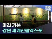 강원임산주식회사 | 미리 가본 강원 세계산림엑스포
