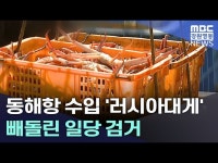 [단독]동해항 수입 러시아대게 빼돌린 일당 검거