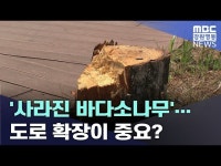 무분별한 해안 개발 걱정