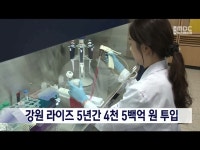 강원 라이즈 5년간 4천 5백억 원 투입