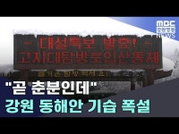 곧 춘분인데 강원 동해안 기습 폭설