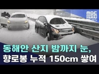 동해안 산지 밤까지 눈, 향로봉 누적 150cm 쌓여