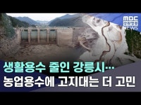 생활용수 줄인 강릉시... 농업용수에 고지대는 더 고민