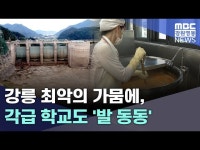 강릉 최악의 가뭄에, 각급 학교도 발 동동