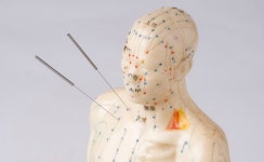 한방 가슴성형의 확대 효과는 과연?