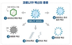 유전자재조합 기술 활용 코로나19 백신 안전성 높아...노바백스 임상3상 진행중