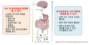 장내미생물이 아프면 뇌가 아프다…미생물-장-뇌 축 (Microbiota-Gut-Brain axis) 이론