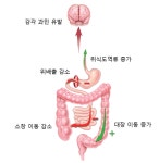 소화불량과 역류 증상을 호소하는 환자에서 올바른 식이 요법은?