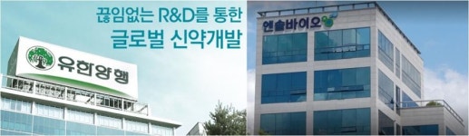 유한양행 기술수출한 퇴행성디스크 치료제 FDA 임상3상IND 승인