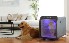 비보존 헬스케어, ‘퐁고 펫케어룸’ 정식 출시로 반려동물 사업 출격