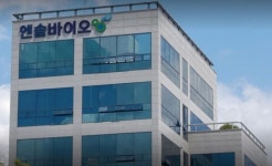 엔솔바이오, E1K 임상1b상 결과 통증경감 효능?연골재생 가능성 확인