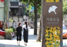 [상권 패트롤] 가로수길, 압구정 로데오거리 전철 밟나