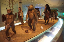 구석기 시대로 가는 타임머신, 전곡선사박물관