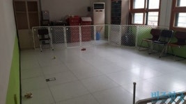 [현장] 초등학교 국책사업 강아지가 결국 분양되는 사연