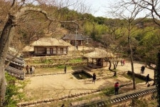 전남 강진 1박2일 ① 다산 정약용과 함께 걷는 녹차길